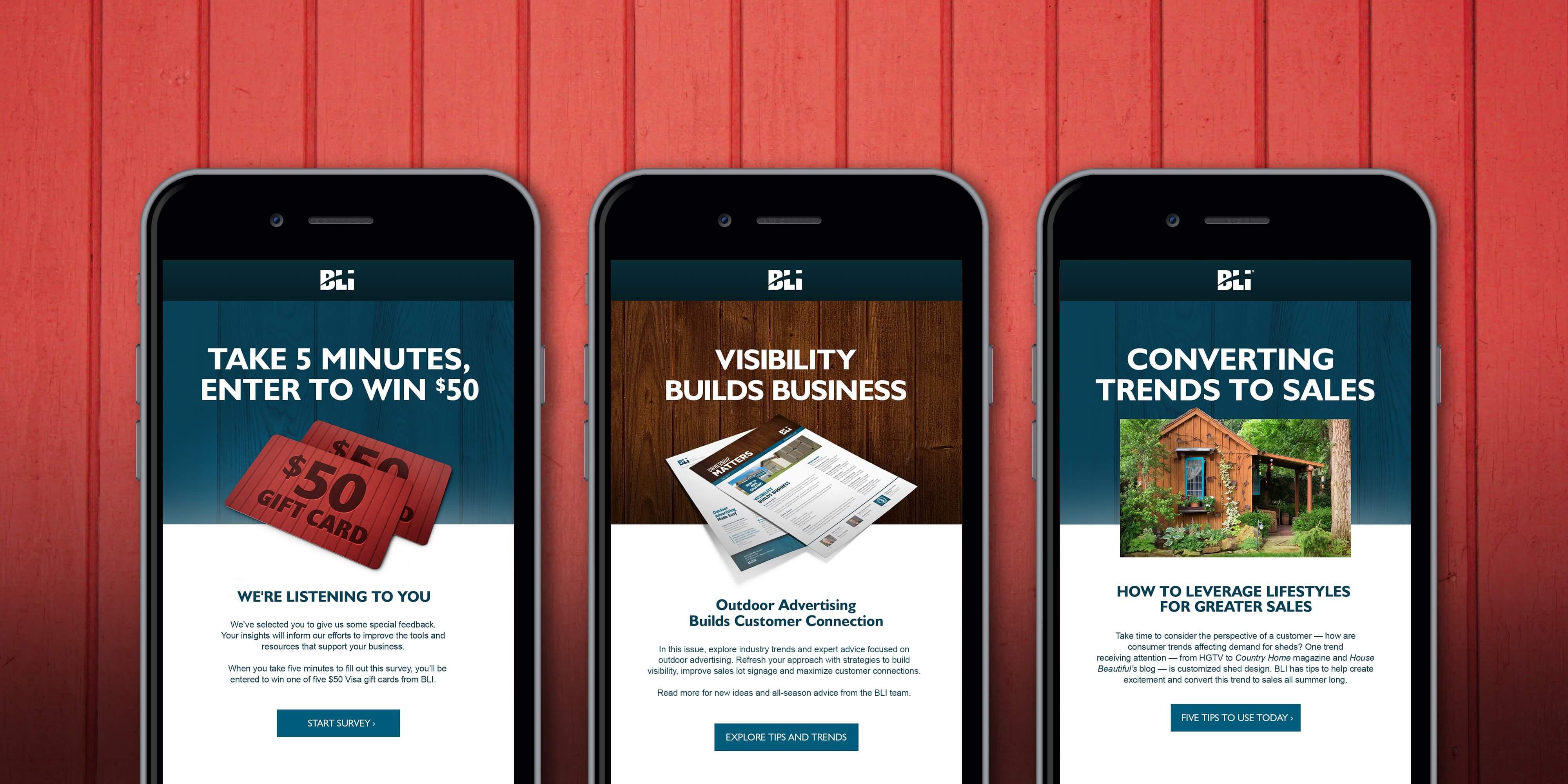 BLI Rentals mobile website preview image